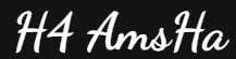 H4 AmsHa Logo